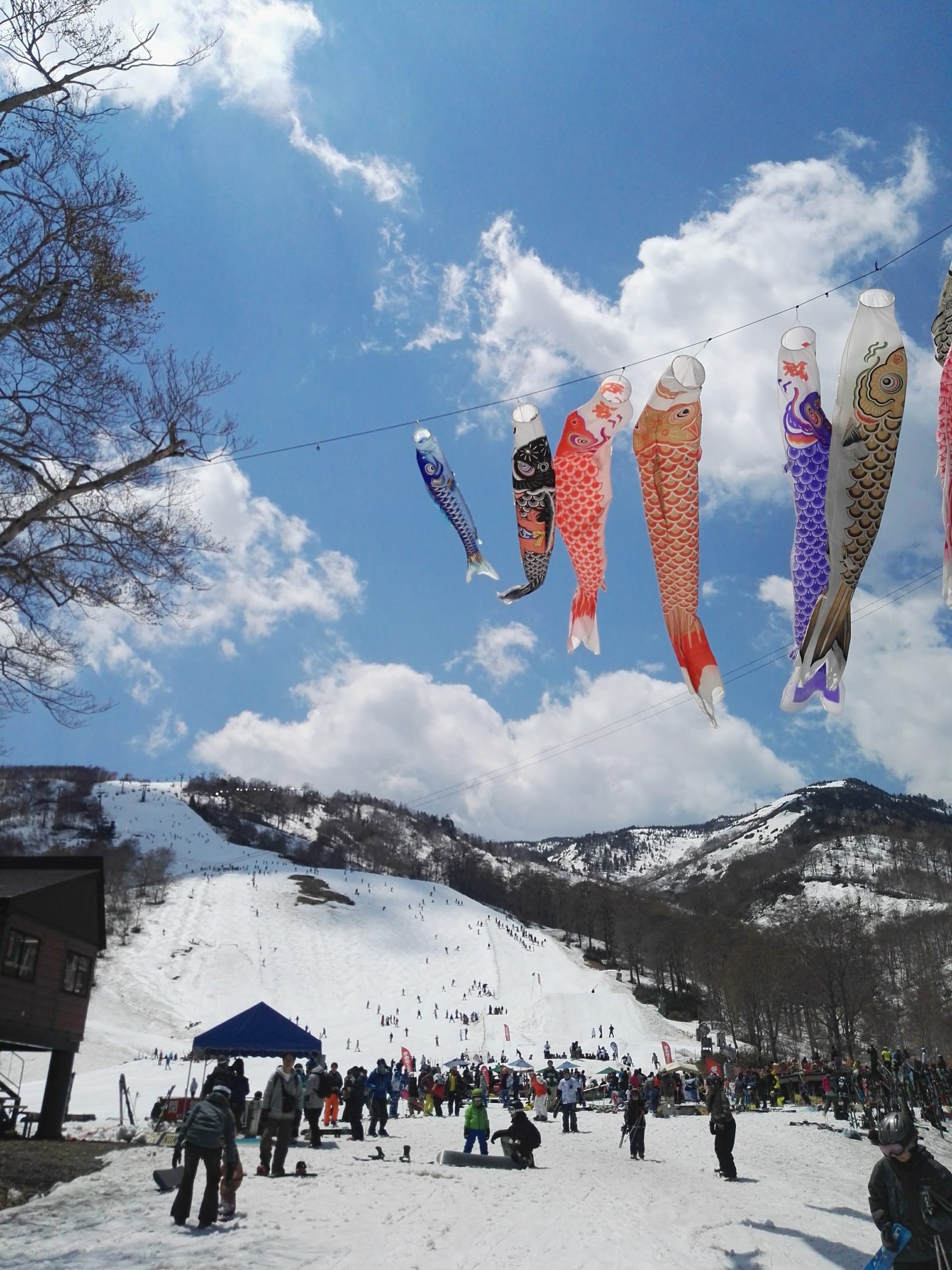 Spring skiing in Yuzawa, Japan