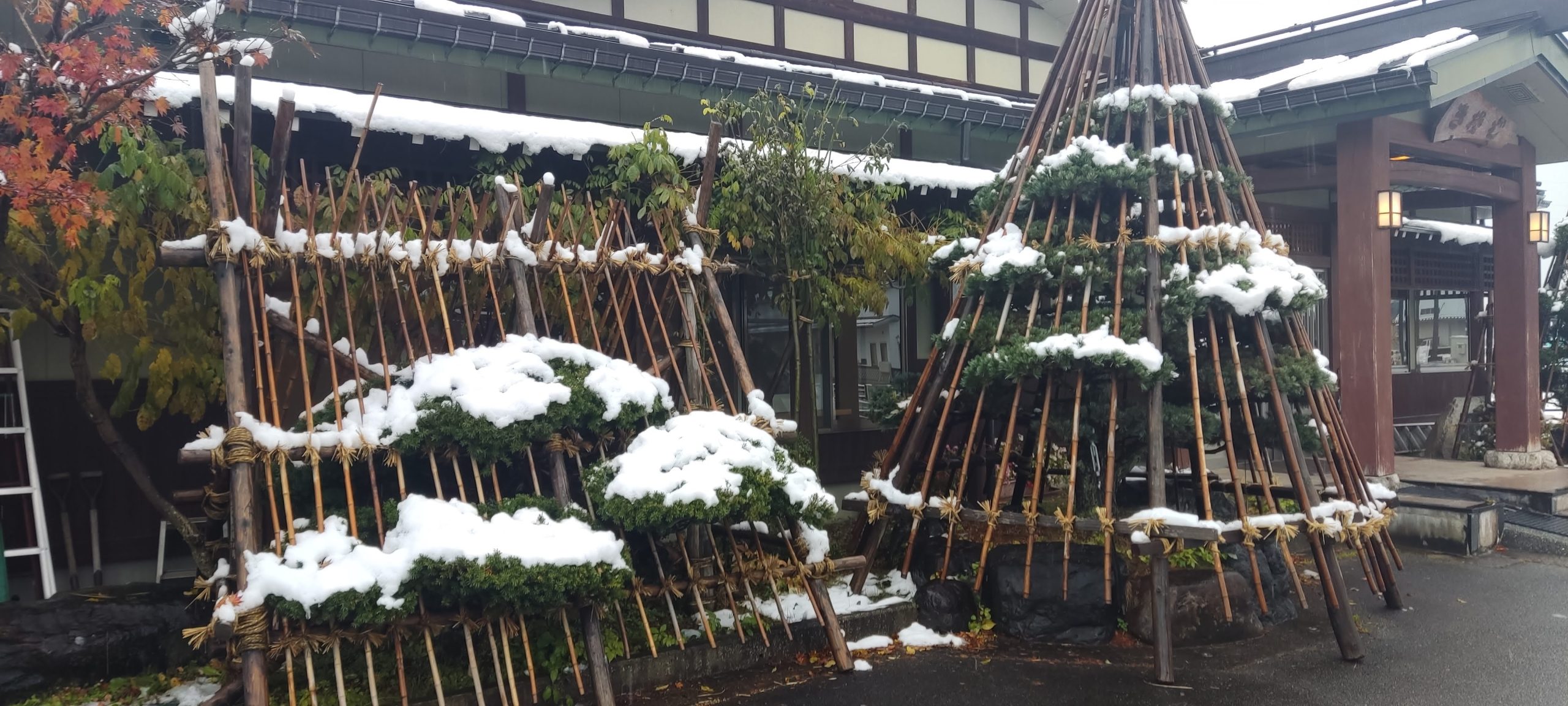 Winter Accommodation