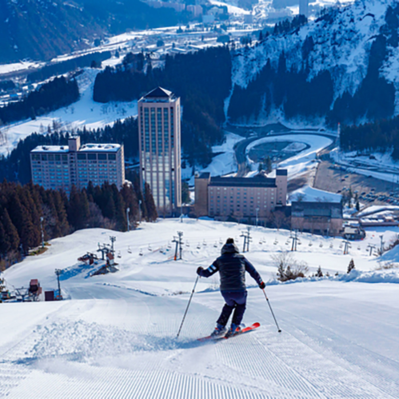 NASPA Ski Garden