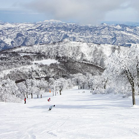 Nozawa Onsen